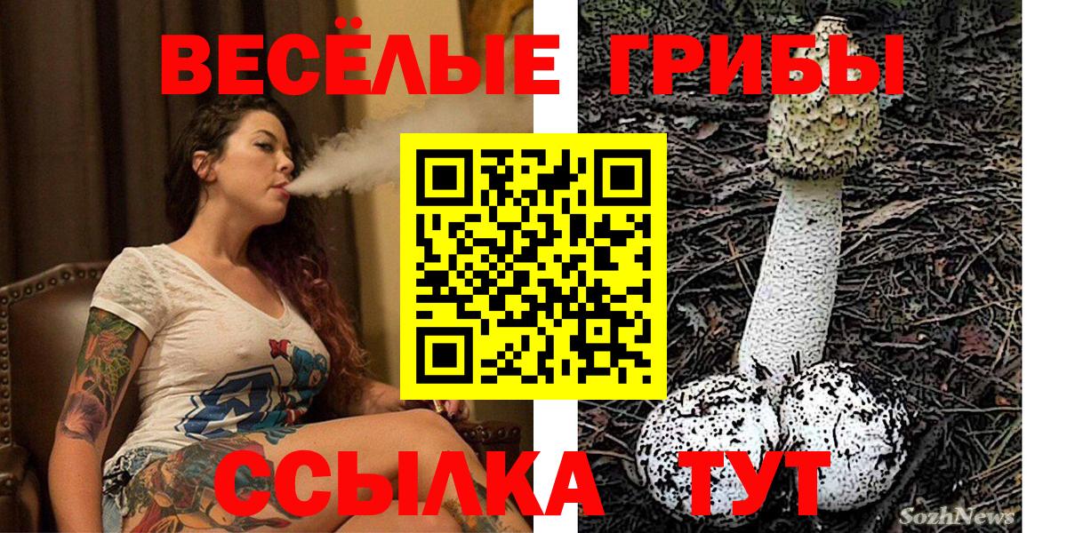 Псилоцибиновые грибы мухоморы  Галлюциногенные грибы GOLDEN TEACHER  Вход с VPN  Тверь 
