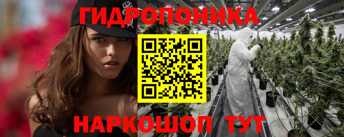 Бошки Шишки Bruce Banner  Каннабис AK-47  МАРИХУАНА марихуана  Вход с VPN  Тверь 